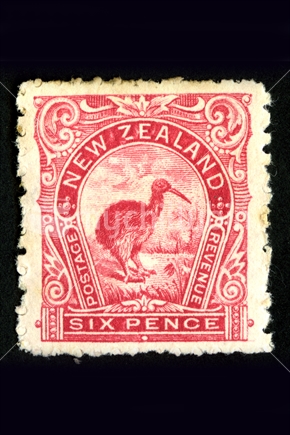 1900 New Zealand 6 pence pictorial stamp featuring a kiwi