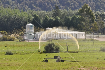 Spraying out dairy effluent, Westland, New Zealand