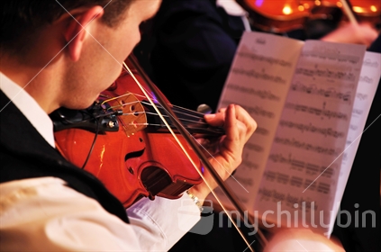 Violinists performing in live concert