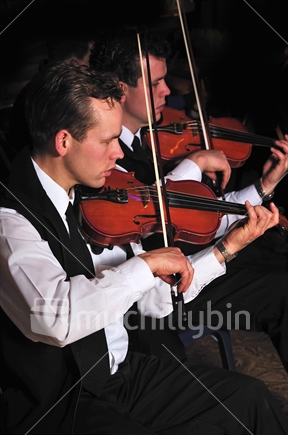 Violinists performing in live concert in New Zealand.