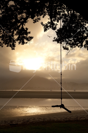 Rope Swing, By Water; New Zealand