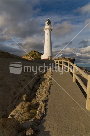 Path that leads to Castlepoint Lighthouse 