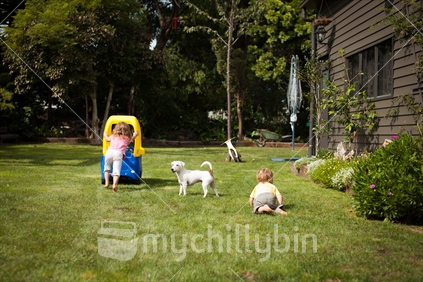Kids and dog playing outside on the back lawn.