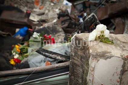 Flowers and Rubble; 2011 Christchurch Earthquake 
