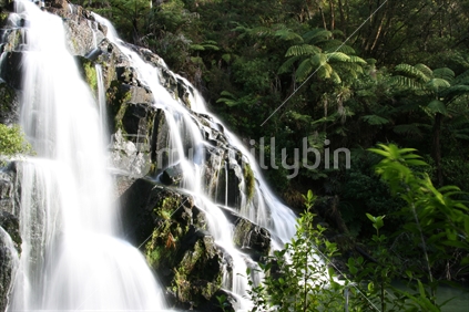 A beautiful waterfall in Waihi surrounded by native New Zealand bush.