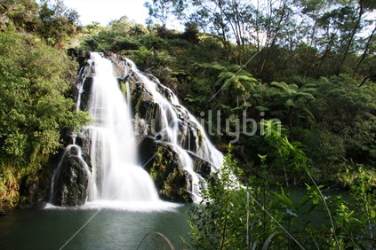 A beautiful Waihi waterfall surrounded by native New Zealand bush.