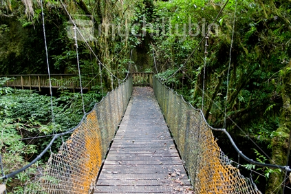 Swingbridge, Mangapohue Natural Bridge, Waitomo, King Country, New Zealand.