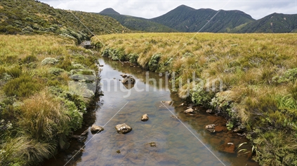 River through Fields, Egmont National Park 