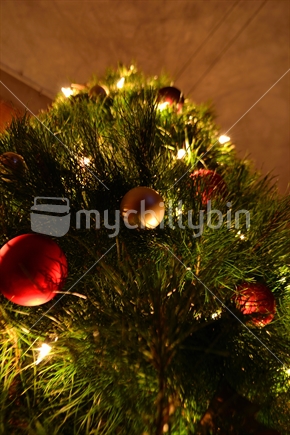 Decorated Christmas Tree.