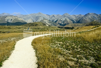 A track at Cave Stream Scenic Reserve, Canterbury, New Zealand.