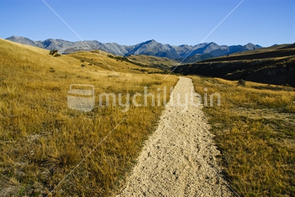 A track at Cave Stream Scenic Reserve in Canterbury, New Zealand. 