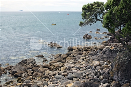 A view out to sea from the Mount Manganui base track with Karewa Island in the background. New Zealand.