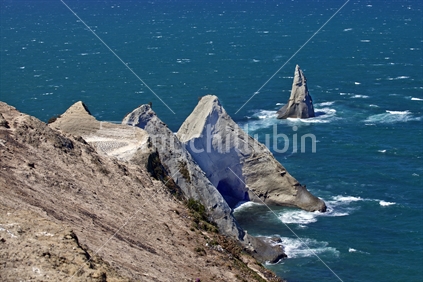 Maui's tooth, Cape Kidnappers, Hawkes Bay, New Zealand.