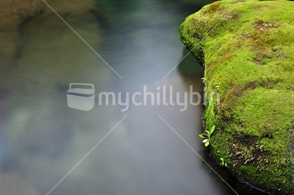 Mossy rocks at Omanawa Falls, Bay of Plenty, New Zealand.

