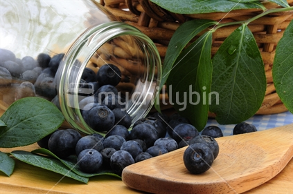 Fresh NZ blueberries.
