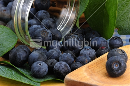 Fresh NZ blueberries.

