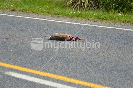 Road Kill, Rabbit
