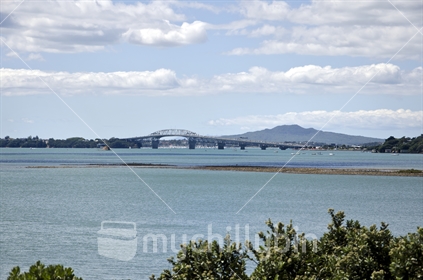 Harbour bridge as seen from  Coyle Park, Point Chevalier, Auckland (focus mid ground)