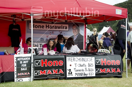 Stall of the Mana Party, Waitangi