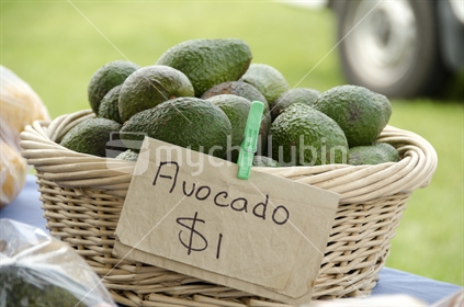 Avocados for sale; a New Zealand farmer's market.