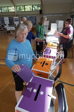 Voting in the 2011 general election