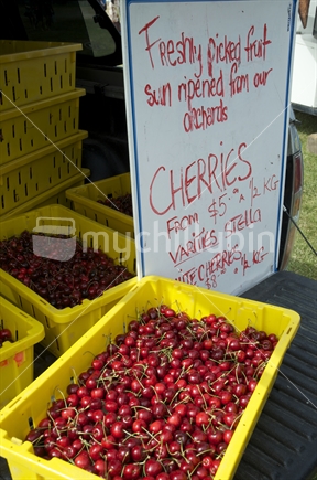 Cherries - new season's cherries at the Farmers' Market