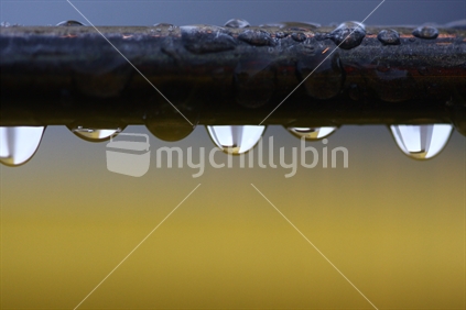 Water drips on supermarket trolley handle (high iso)