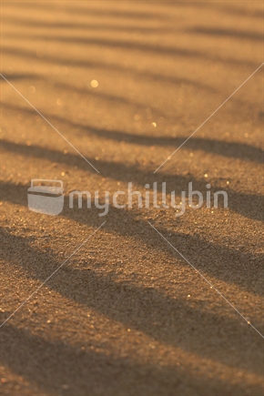 Beach texture, with shallow depth of field. 