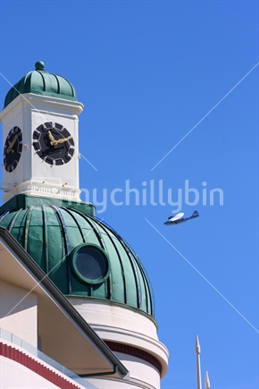Catalina flying from view behing the iconic T&G building dome.