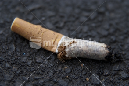 Close up of disintegrating cigarette which has been discarded on a road.