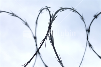 Isolated circular razor wire with shallow depth of field.