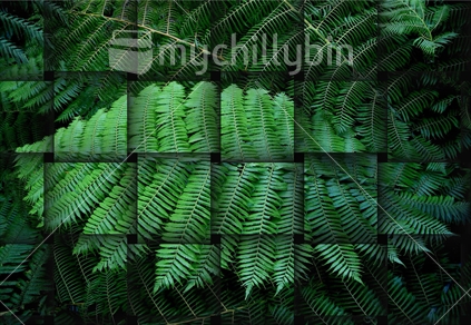 Green Fern Leaf. Digitally woven design for cards and wall art etc. 
