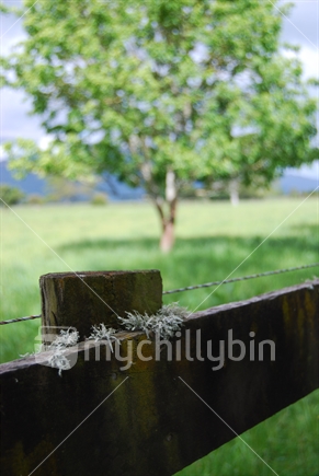 Moss growing on a fence post, with farm and hills in the background.