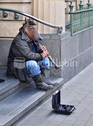 A street musician in Auckland playing for income.