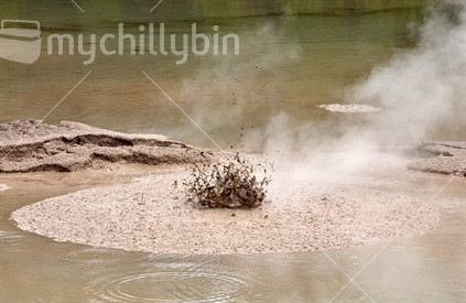 Boiling mud pops at the Roturua mud pool