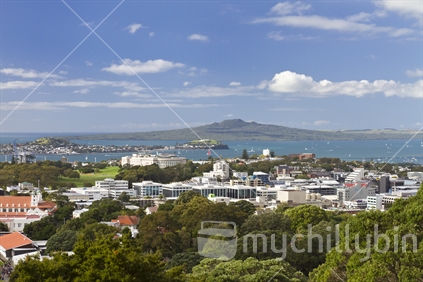 View of Waitemata Harbour and Rangitoto from Mount Eden
