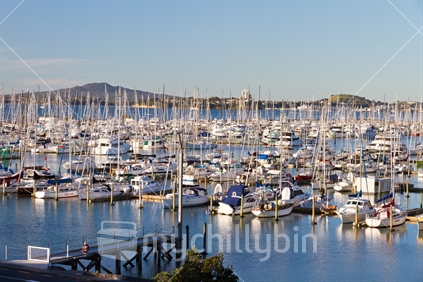 Westhaven Marina with Rangitoto Island and Mount Victoria in the background