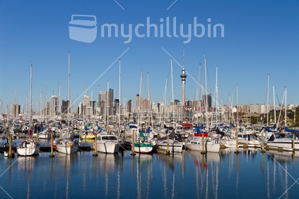 Westhaven Marina with Auckland CBD in background