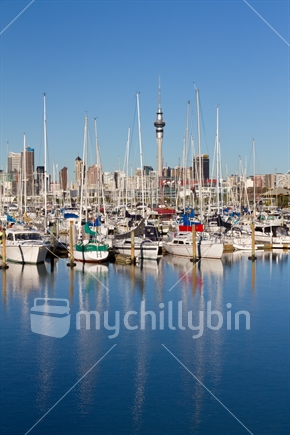 Westhaven Marina with Auckland CBD in background (foreground focus)