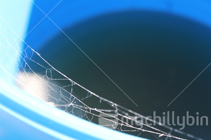 Cob web on water barrel outside