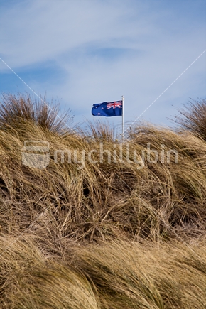 New Zealand flag flying above native grass.