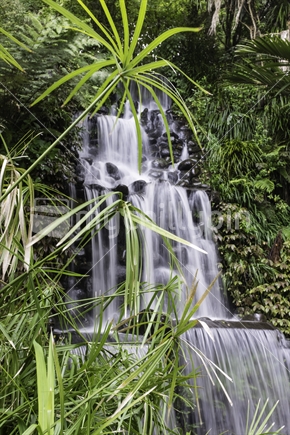 The waterfall in Pukekura Park.