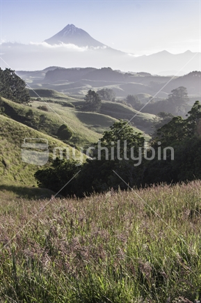 Rural scene with Mount Taranaki in the background. 