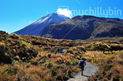 Mt Ngauruhoe Tongariro Crossing