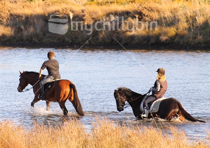 Horses through the Estuary - Waikanae - Kapiti - NZ