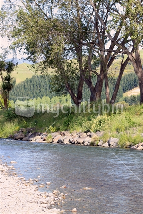 New Zealand River Landscape