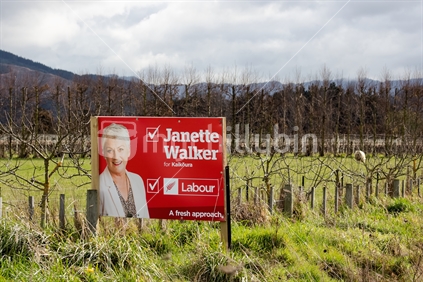 Billboard campaign sign for Labour Party Candidate Jeanette Walker for Kaikoura