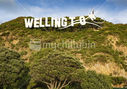 Hollywood style sign on hill near Wellington airport - horizontal