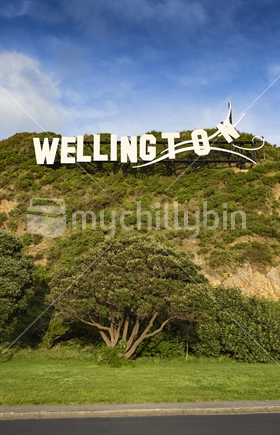 Hollywood style sign on hill near Wellington airport - vertical 