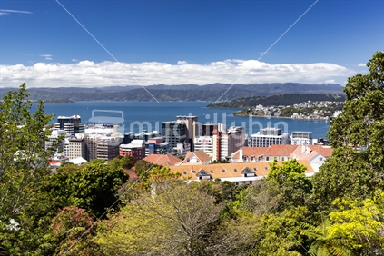 Wide view of NZ capital city Wellington, viewed from Cable Car